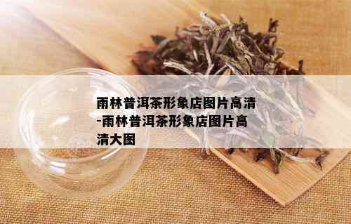 雨林普洱茶形象店图片高清-雨林普洱茶形象店图片高清大图