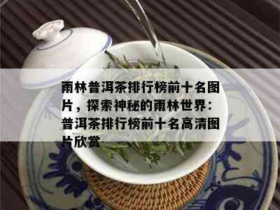 雨林普洱茶排行榜前十名图片，探索神秘的雨林世界：普洱茶排行榜前十名高清图片欣赏