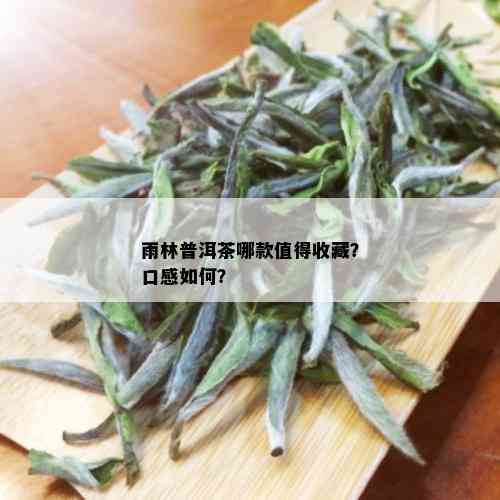 雨林普洱茶哪款值得收藏？口感如何？