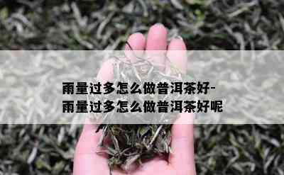 雨量过多怎么做普洱茶好-雨量过多怎么做普洱茶好呢