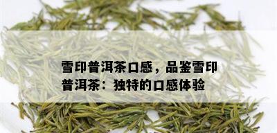 雪印普洱茶口感，品鉴雪印普洱茶：独特的口感体验