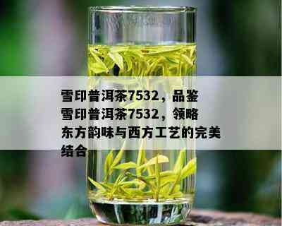 雪印普洱茶7532，品鉴雪印普洱茶7532，领略东方韵味与西方工艺的完美结合