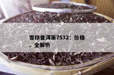 雪印普洱茶7532：价格、全解析