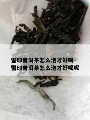 雪印普洱茶怎么泡才好喝-雪印普洱茶怎么泡才好喝呢