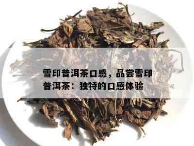 雪印普洱茶口感，品尝雪印普洱茶：独特的口感体验