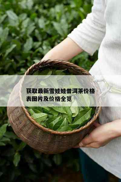 获取最新雪娃娃普洱茶价格表图片及价格全览