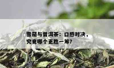 雪茄与普洱茶：口感对决，究竟哪个更胜一筹？