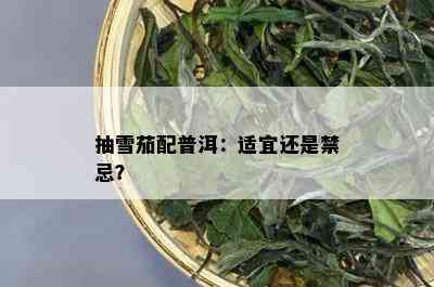 抽雪茄配普洱：适宜还是禁忌？