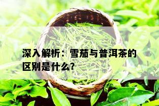 深入解析：雪茄与普洱茶的区别是什么？