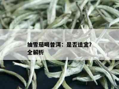 抽雪茄喝普洱：是否适宜？全解析