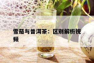 雪茄与普洱茶：区别解析视频