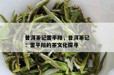 普洱茶记雷平阳，普洱茶记：雷平阳的茶文化探寻