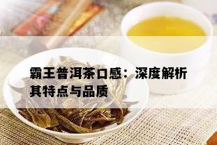 霸王普洱茶口感：深度解析其特点与品质