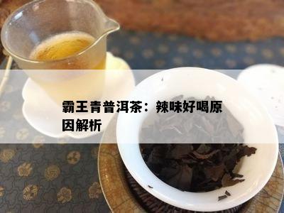 霸王青普洱茶：辣味好喝原因解析