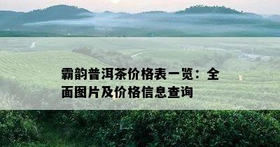 霸韵普洱茶价格表一览：全面图片及价格信息查询