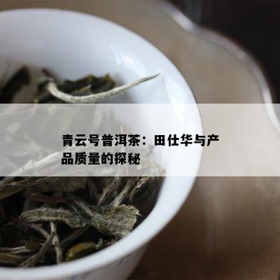 青云号普洱茶：田仕华与产品质量的探秘