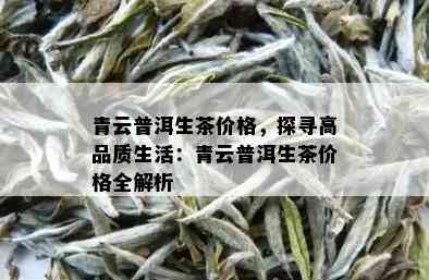 青云普洱生茶价格，探寻高品质生活：青云普洱生茶价格全解析