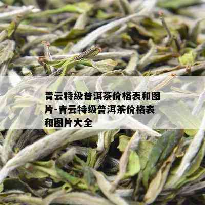 青云特级普洱茶价格表和图片-青云特级普洱茶价格表和图片大全