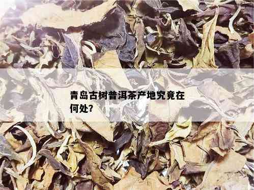 青岛古树普洱茶产地究竟在何处？