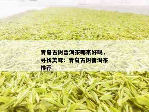 青岛古树普洱茶哪家好喝，寻找美味：青岛古树普洱茶推荐