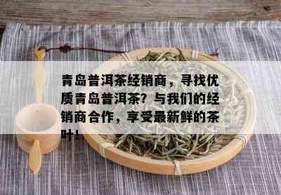 青岛普洱茶经销商，寻找优质青岛普洱茶？与我们的经销商合作，享受最新鲜的茶叶！