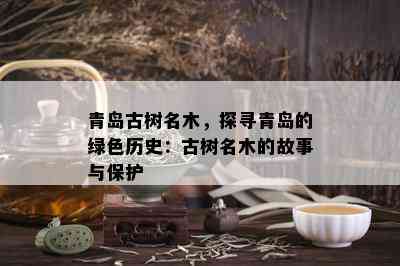 青岛古树名木，探寻青岛的绿色历史：古树名木的故事与保护