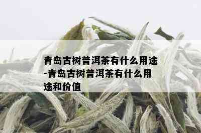 青岛古树普洱茶有什么用途-青岛古树普洱茶有什么用途和价值