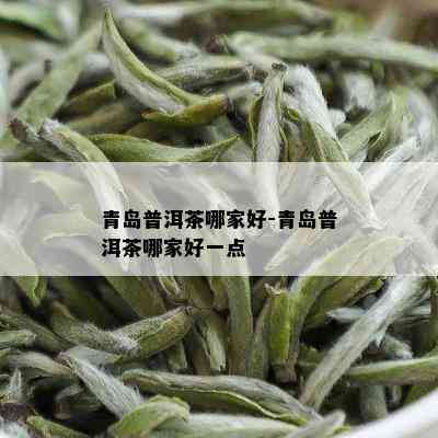 青岛普洱茶哪家好-青岛普洱茶哪家好一点