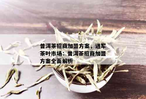 普洱茶招商加盟方案，进军茶叶市场：普洱茶招商加盟方案全面解析