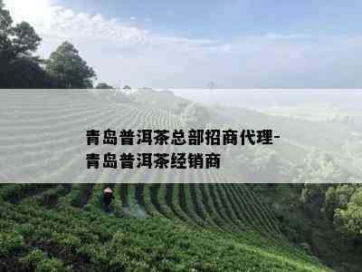 青岛普洱茶总部招商代理-青岛普洱茶经销商