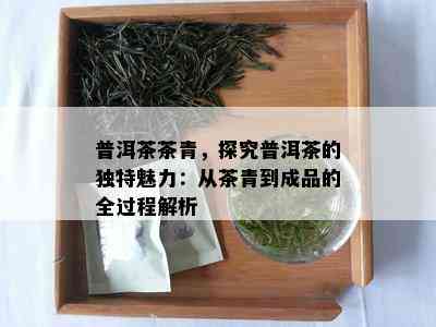 普洱茶茶青，探究普洱茶的独特魅力：从茶青到成品的全过程解析