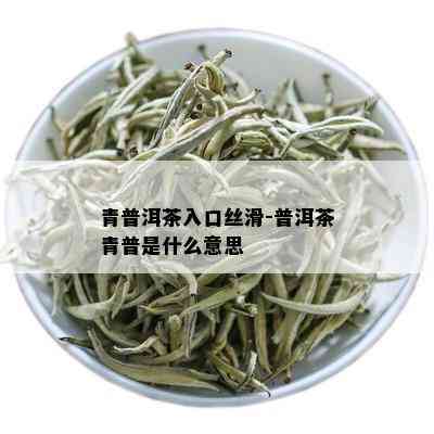 青普洱茶入口丝滑-普洱茶青普是什么意思