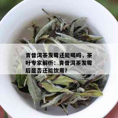 青普洱茶发霉还能喝吗，茶叶专家解析：青普洱茶发霉后是否还能饮用？