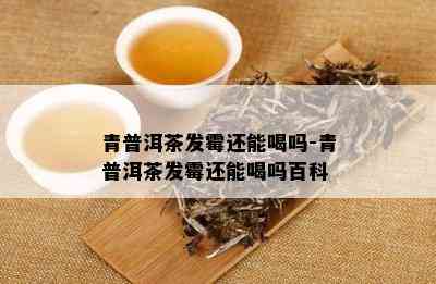 青普洱茶发霉还能喝吗-青普洱茶发霉还能喝吗百科