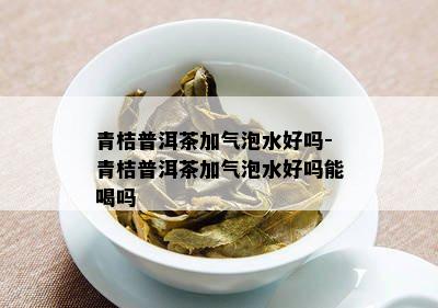 青桔普洱茶加气泡水好吗-青桔普洱茶加气泡水好吗能喝吗