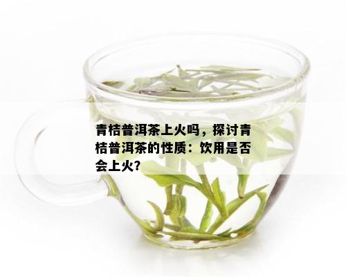 青桔普洱茶上火吗，探讨青桔普洱茶的性质：饮用是否会上火？