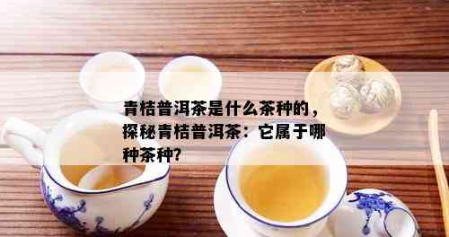 青桔普洱茶是什么茶种的，探秘青桔普洱茶：它属于哪种茶种？