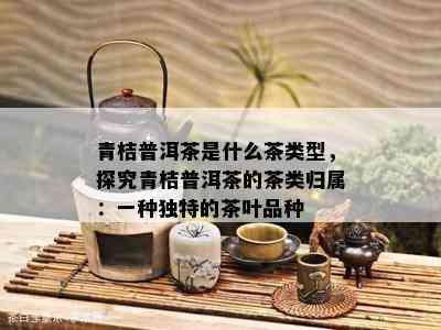 青桔普洱茶是什么茶类型，探究青桔普洱茶的茶类归属：一种独特的茶叶品种