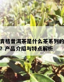 青桔普洱茶是什么茶系列的？产品介绍与特点解析