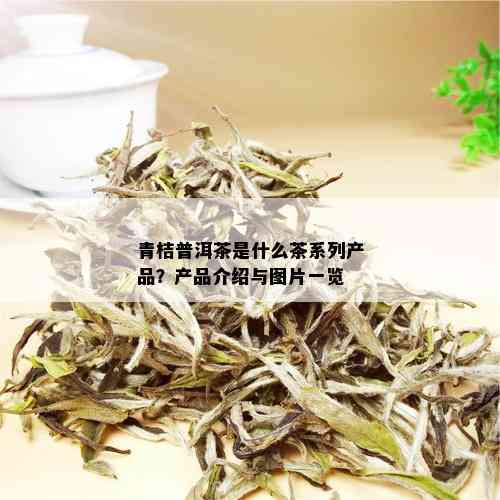 青桔普洱茶是什么茶系列产品？产品介绍与图片一览