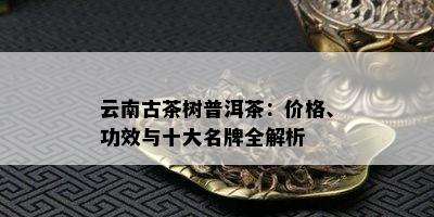 雲南古茶樹普洱茶價格功效與十大名牌全解析