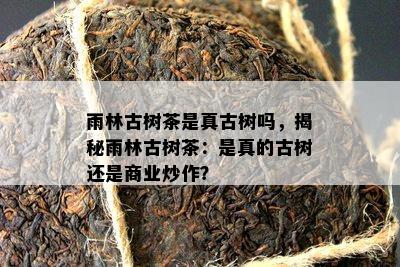 雨林古树茶是真古树吗，揭秘雨林古树茶：是真的古树还是商业炒作？