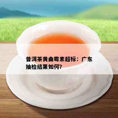 普洱茶黄曲霉素超标：广东抽检结果怎样？