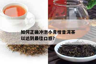 怎样正确冲泡小青柑普洱茶以达到更佳口感？