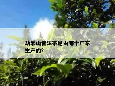 勐乐山普洱茶是由哪个厂家生产的？