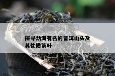 探寻勐海有名的普洱山头及其优质茶叶