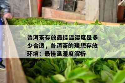 普洱茶存放更佳温湿度是多少合适，普洱茶的理想存放环境：更佳温湿度解析