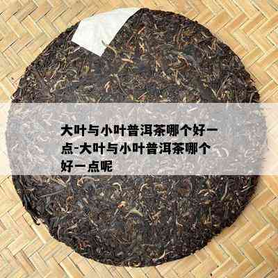 大叶与小叶普洱茶哪个好一点-大叶与小叶普洱茶哪个好一点呢