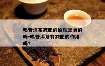 喝普洱茶减肥的原理是真的吗-喝普洱茶有减肥的作用吗?