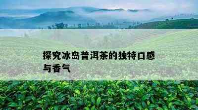 探究冰岛普洱茶的特别口感与香气